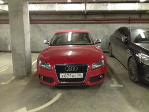 IMG_0231.jpg