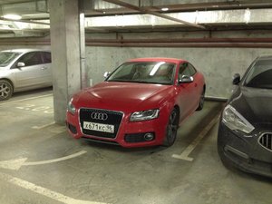 IMG_0230.jpg