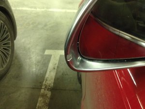 IMG_0229.jpg