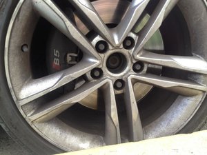 IMG_3030.jpg