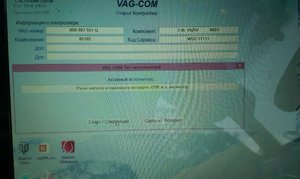 IMAG0436.jpg