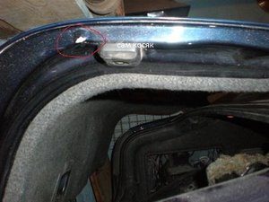 P7080033 уменьшенное.jpg