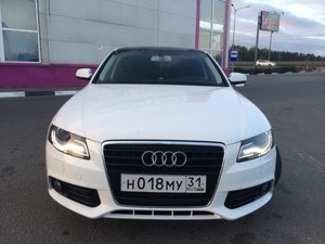 IMG_0413.jpg