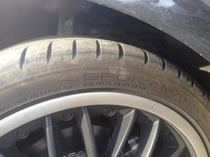IMG_0273.jpg