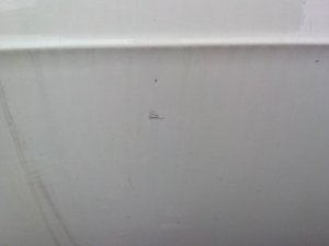 IMG_20140717_151528.jpg