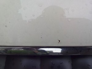 IMG_20140717_151507.jpg