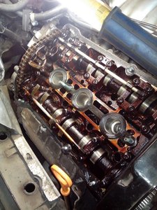 IMG_20131121_201122.jpg
