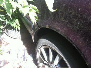 IMG_0720.jpg