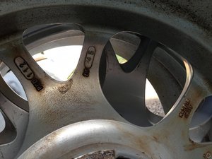 IMG_4972.jpg