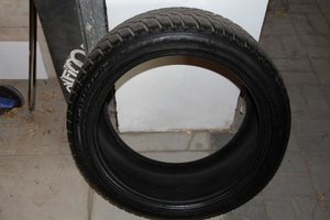 IMG_7955.jpg