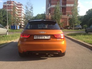 IMG_2224.jpg