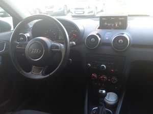 IMG_2236.jpg