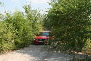 IMG_1724-1.jpg