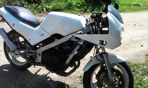 IMAG0080.jpg