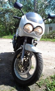 IMAG0083.jpg