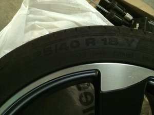 IMG_3479.jpg