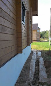 IMAG0184.jpg