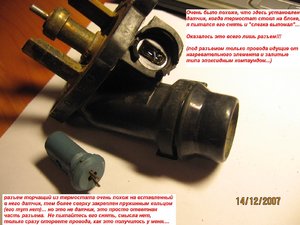 IMG_4305.JPG