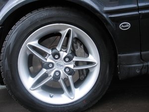 IMG_0479.JPG