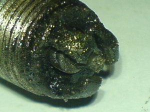 DSC02245.jpg