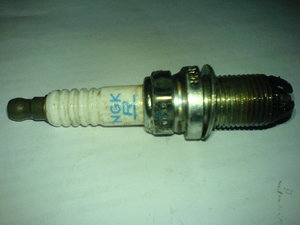 DSC02247.jpg