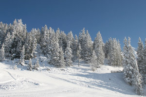 20071216_IMG_0014.jpg