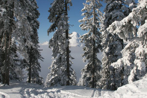 20071216_IMG_0213.jpg