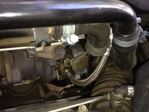 IMG_1913.jpg