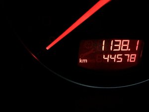 IMG_4358.jpg