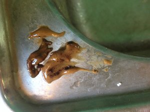 IMG_0328.jpg
