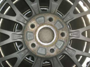 979508195.jpg