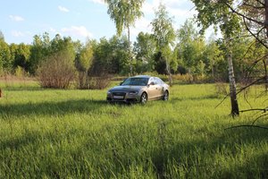 IMG_1831.jpg