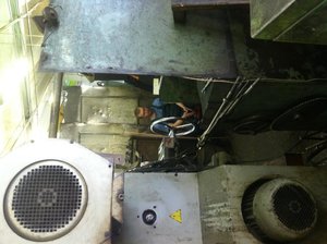 IMG_0312[1].jpg