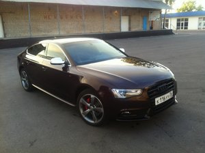 IMG_2741.jpg