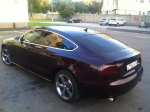 IMG_2752.jpg