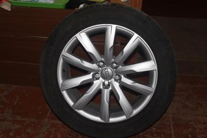 IMG_5960.jpg