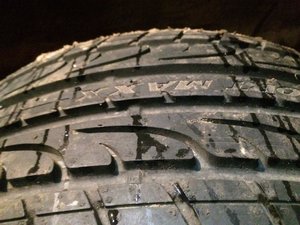 IMG_2887.jpg