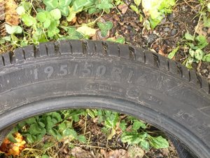 IMG_2750.jpg