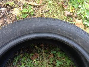 IMG_2751.jpg