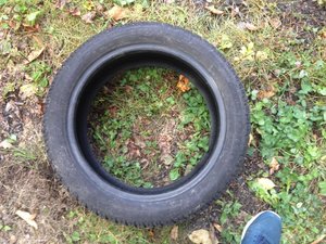 IMG_2749.jpg