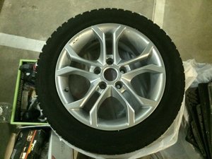 IMG_3750.jpg