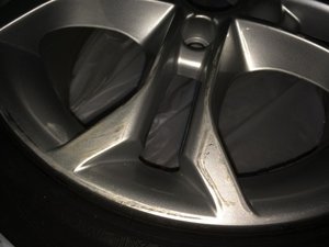 IMG_3754.jpg
