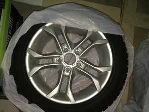 IMG_3755.jpg