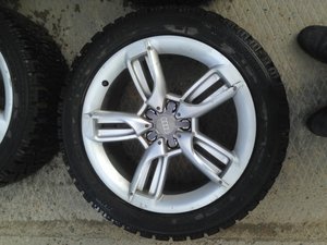 IMG_8663.jpg
