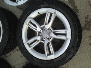 IMG_8666.jpg