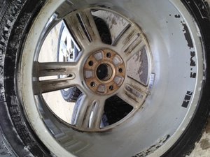 IMG_8673.jpg