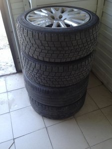 IMG_8232.jpg
