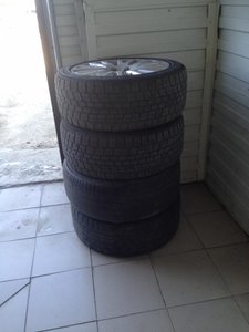 IMG_8233.jpg