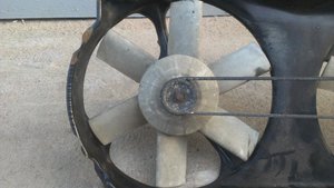 IMAG0597.jpg