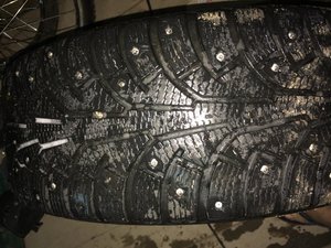 IMG_0627[1].jpg